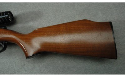 Remington ~ 591M ~ 5mm Remington Rimfire Magnum - Image 9 of 10
