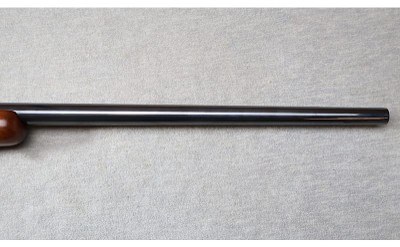 Ruger ~ M77 ~ .25-06 REM - Image 5 of 12