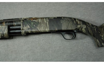 Browning ~ BPS ~ 12 Gauge - Image 8 of 10