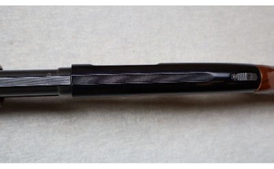 Western Field ~ M550CR ~ 20 Gauge - Image 10 of 12