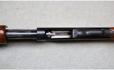 Western Field ~ M550CR ~ 20 Gauge - Image 8 of 12