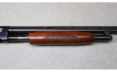 Western Field ~ M550CR ~ 20 Gauge - Image 4 of 12