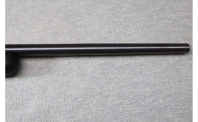 Savage ~ Model 93R17 ~ .17 HMR - Image 5 of 12