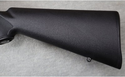 Savage ~ Model 93R17 ~ .17 HMR - Image 11 of 12