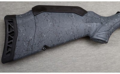 Ruger ~ American Gen II ~ .204 Ruger - Image 2 of 12