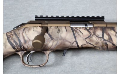 Ruger ~ American ~ .17 HMR - Image 3 of 12