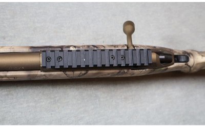 Ruger ~ American ~ .17 HMR - Image 10 of 12