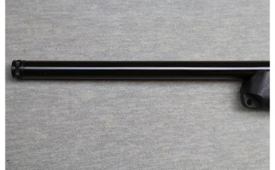 Ruger ~ 10/22 ~ .22 LR - Image 6 of 12