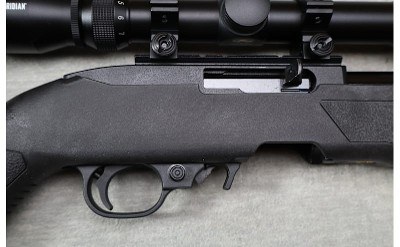 Ruger ~ 10/22 ~ .22 LR - Image 3 of 12