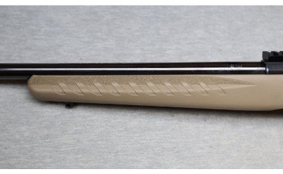 Ruger ~ American ~ .22 WMR - Image 7 of 12