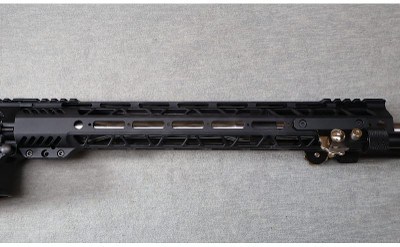 Palmetto State Armory ~ Model G3-10 ~ .308 Win. - Image 4 of 8