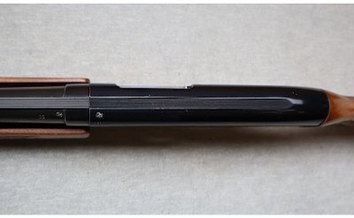 Ted Williams ~ Model 200 ~ 12 Gauge - Image 10 of 12