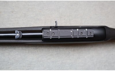 Ruger ~ 10/22 50th Anniversary ~ .22 LR - Image 10 of 12