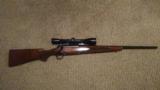 Winchester Model 70 .243 - 1 of 3