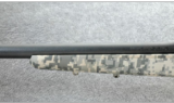 Savage Model 10 Precision Carbine .308 Win. - 8 of 8