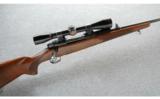 Winchester Pre 64 Model 70 Std. Weight .30-06 - 1 of 8