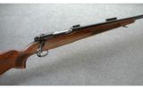 Winchester Pre 64 Model 70 Varmint Stainless Barrel .243 - 1 of 9
