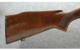 Winchester Pre 64 Model 70 Varmint Stainless Barrel .243 - 5 of 9