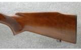 Winchester Pre 64 Model 70 Varmint Stainless Barrel .243 - 6 of 9