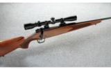 Winchester Model 70 Carbine Short Action .308 Win. - 1 of 8