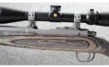 Ruger M77/17 Stainless .17 HMR - 4 of 8