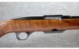Winchester Model 100 Pre 64 .284 Win. - 2 of 8