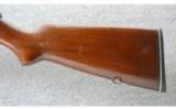 Winchester ~ Model 52 Target ~ .22 LR - 6 of 8