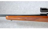 Ruger M77 w/Tang Safety .22-250 Rem. - 7 of 8