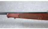 Winchester ~ Model 70 Featherweight ~ .270 Win. - 8 of 9
