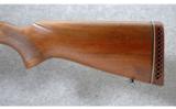 Winchester ~ Model 70 Pre 64 Standard Weight ~ .300 H&H Mag. - 9 of 9
