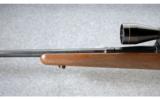 Winchester ~ Model 70 Pre 64 Standard Weight ~ .300 H&H Mag. - 6 of 9