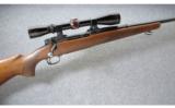 Winchester ~ Model 70 Pre 64 Standard Weight ~ .300 H&H Mag. - 1 of 9