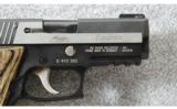 Sig Sauer ~ P220R Carry Equinox ~ .45acp - 6 of 7