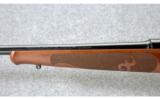 Winchester ~ Model 70 XTR Featherweight ~ .257 Roberts - 9 of 9