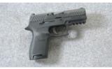 Sig Sauer ~ P320 Compact ~ 9mm Para. - 1 of 6