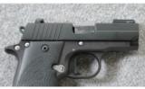 Sig Sauer ~ P238 Equinox ~ .380acp - 4 of 4