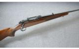 Winchester ~ Model 70 Standard Weight Pre 64 ~ .270 Win. - 1 of 9