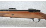 Ruger ~ M77 Hawkeye African ~ 6.5x55mm 