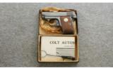 Colt ~ Model 1908 Hammerless Vest Pocket ~ .25 acp - 7 of 9