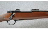 Ruger ~ M77 Hawkeye 50th. Anniversary ~ .243 Win. 