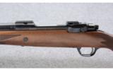 Ruger ~ M77 Hawkeye African ~ 6.5x55mm 