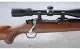 Ruger ~ M77 Mark II Standard ~ .243 Win. - 3 of 9