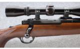 Ruger ~ M77 with Tang Safety ~ .22-250 Rem. - 3 of 9