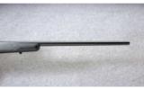 Winchester ~ Model 70 Classic SM
~ .30-06 - 5 of 9