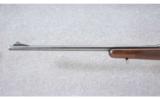Winchester ~ Model 70 Standard Weight Pre-64 ~ .30-06 - 6 of 9