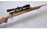 Winchester ~ Model 70 Standard Pre 64 ~ .30-06 - 1 of 9