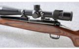 Winchester ~ Model 70 Classic Laminated WSM ~ .270 WSM - 8 of 9