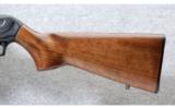 CZ ~ CZ 512 Hardwood Blued ~ .22 LR - 9 of 9