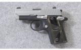 SIG Sauer ~ P238 Two Tone ~ .380 acp - 2 of 4
