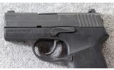 SIG Sauer ~ P290RS ~ 9mm Para. - 3 of 4